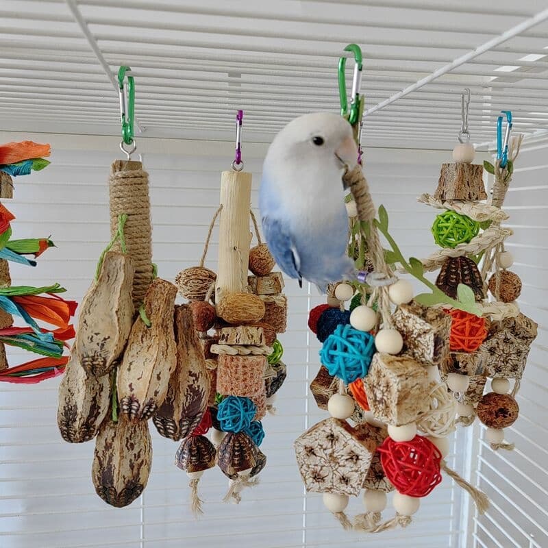 Natural Chewing Toys for Parrots and Small Pets