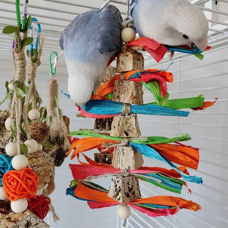 Natural Chewing Toys for Parrots and Small Pets