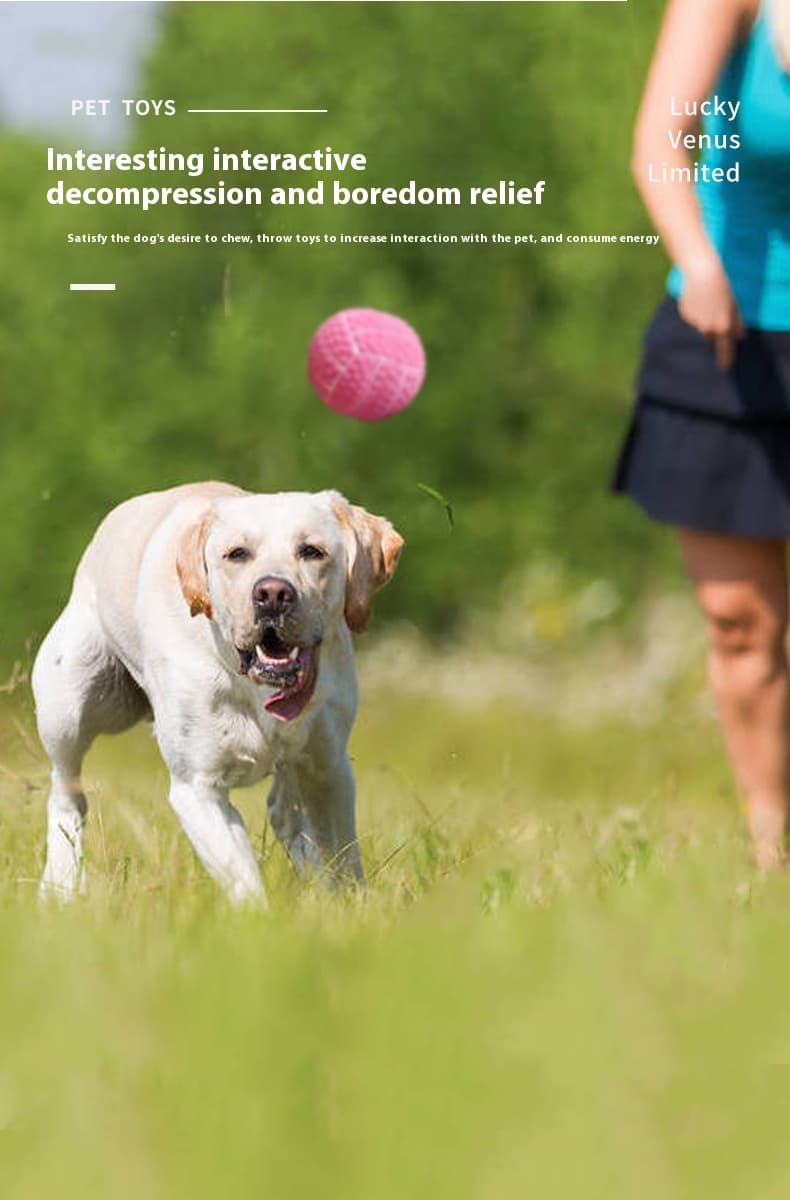 LaTeX Pet The Toy Dog Latex High Elastic Ball — Green Football