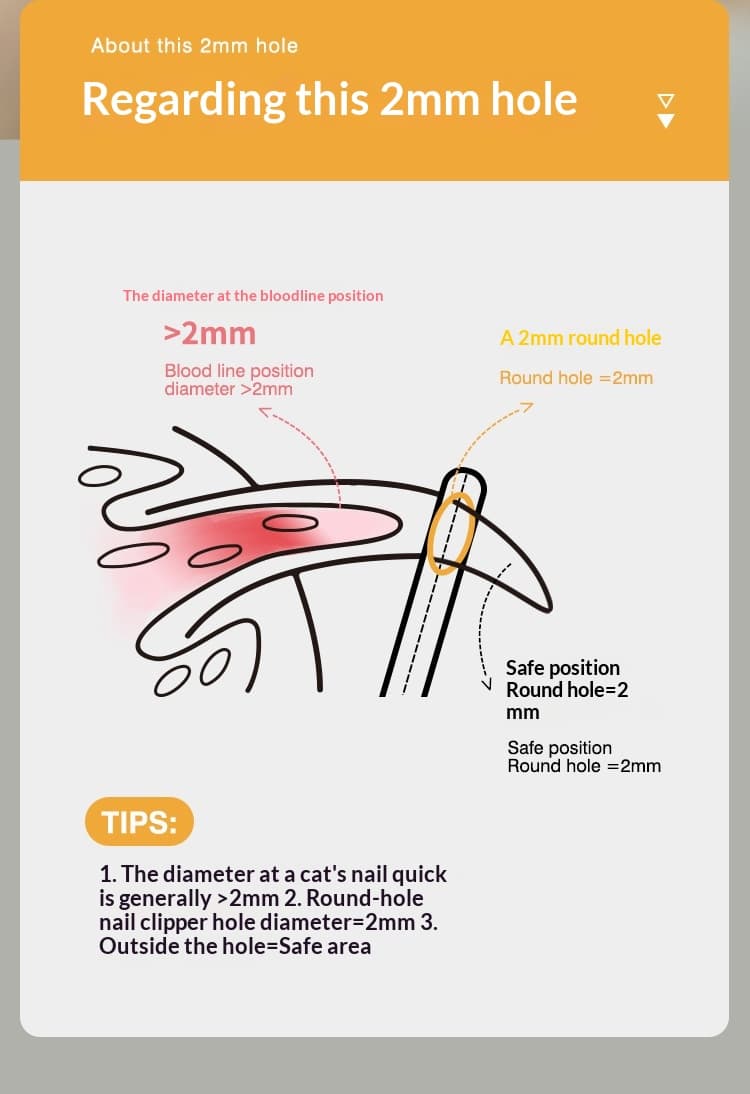 Little Rabbit Blind Cutters Pet Nail Cutters Cat Nail Cutters Anti-Catch Cat Nail Cutters Baby Cat Claw Cutters Anti-Cut Blood Line Round Hole