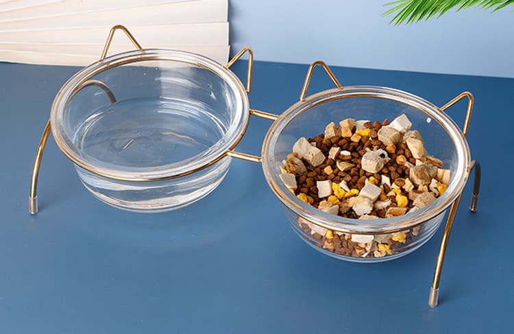 Elevated Glass Cat Bowl and Metal Feeding Station
