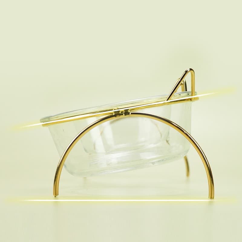 Elevated Glass Cat Bowl and Metal Feeding Station