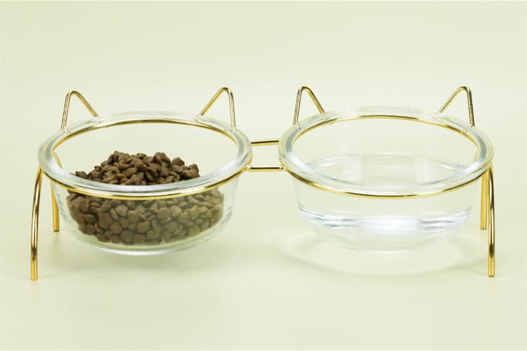 Elevated Glass Cat Bowl and Metal Feeding Station