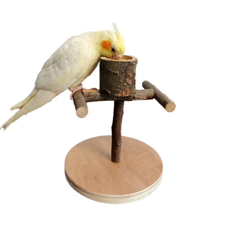 Bird Toys collection