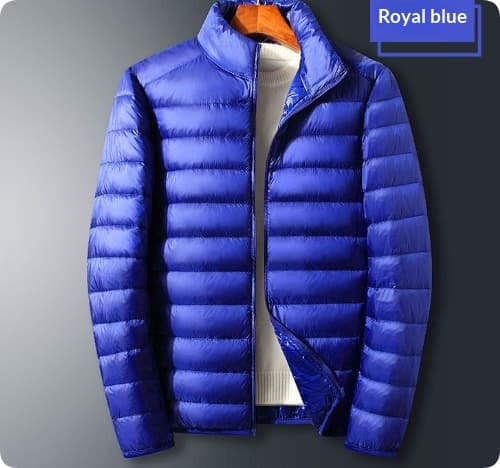 Trendy Hooded Padded White Duck Down Mens Coat — Sapphire Blue-L-Standing collar